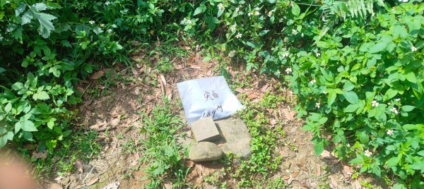 羊稠森林步道2776983