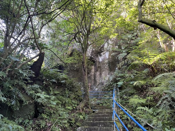 [微笑山線_第九段] 2025_0914 二格山系_皇帝殿東峰2889465