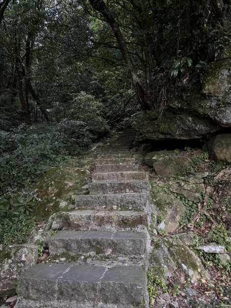 陽明山東西大縱走-東段2984512