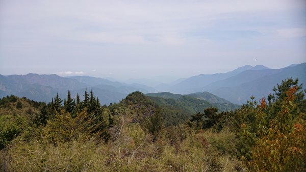 20200418東埔山-東埔大草原1625339