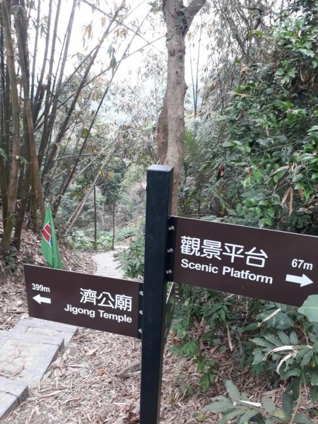 雲林林內龍過脈森林步道20190323550606