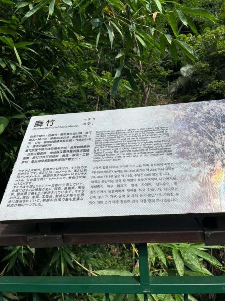 ［竹山］瑞龍瀑布步道  竹山第一美瀑之稱2909722