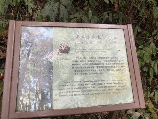 奮瑞瑞太古道3060191