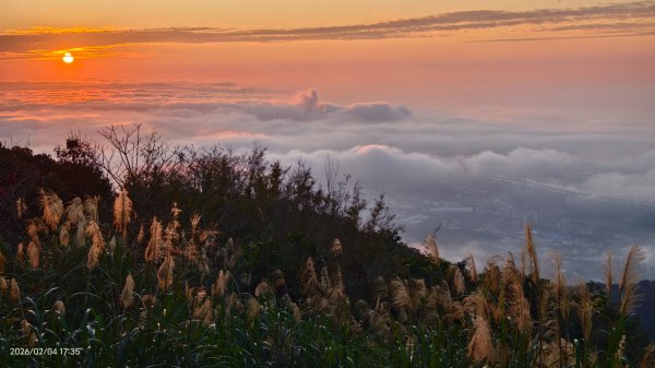 #觀音山 #雲海 #夕陽 #琉璃光 2/42993071