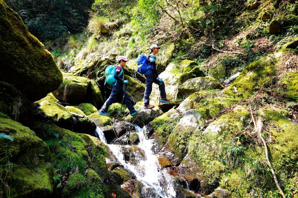 樂山舊鐵道順撿鹿坑山1320453