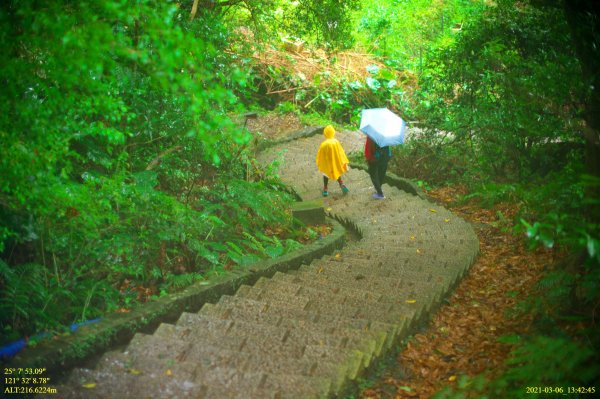 北投煙雨濛濛吃雞行1297599