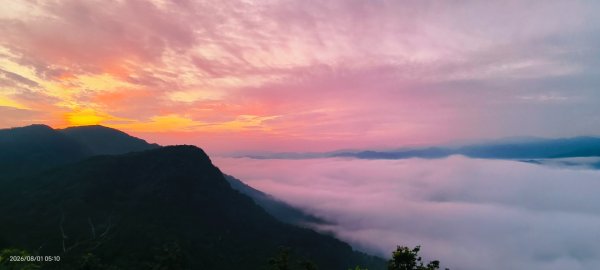 #翡翠水庫壩頂 #火燒雲 #日出 #雲海 8/13093717