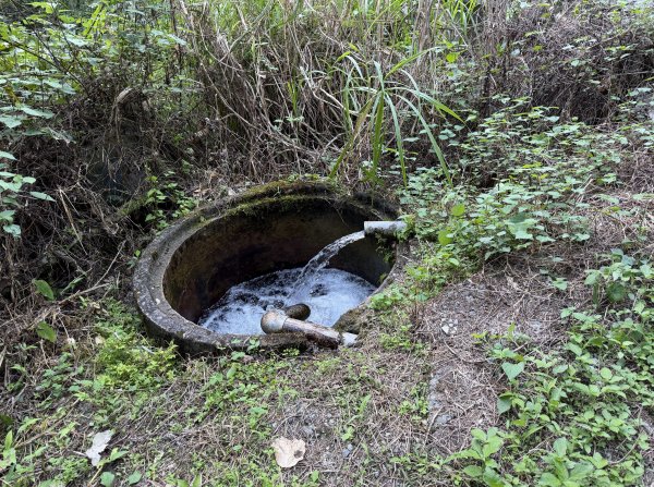 2025_1018 花蓮縣鳳林鎮鳳凰瀑布2921368
