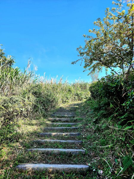 小百岳集起來-姜子寮山2181028