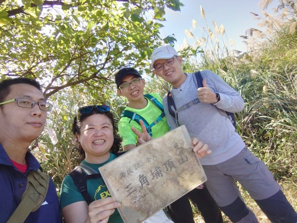 三角埔頂山賞芒1545033