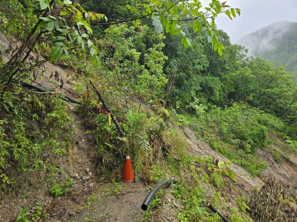 四大鳥山之首小劍山2773940