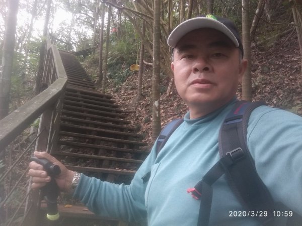 獨立山國家步道895028