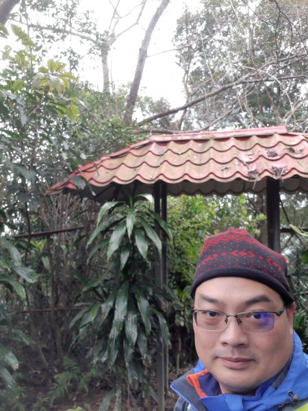 土地公後山1232690