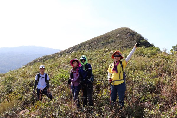 HK - 白燕岩1661213