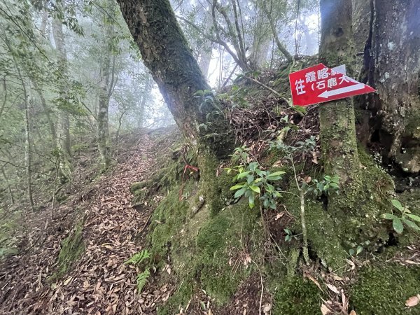 2025_0622 霞喀羅大山2819201