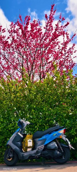 #花卉試驗中心 #永公路500巷 #平菁街42巷 #原住民公園 #士林官邸 1/42980368