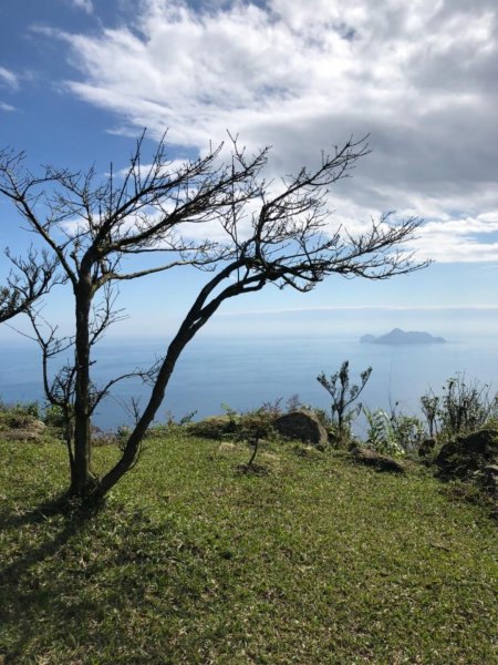 灣坑頭山草嶺古道線無敵山海美景510907