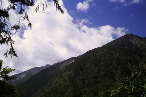 第一次的高山旅行 玉山八通關  2005623412