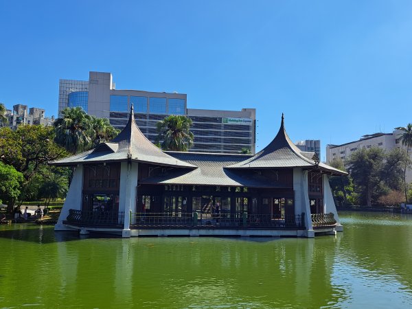 砲台山---台中公園散步去2338936