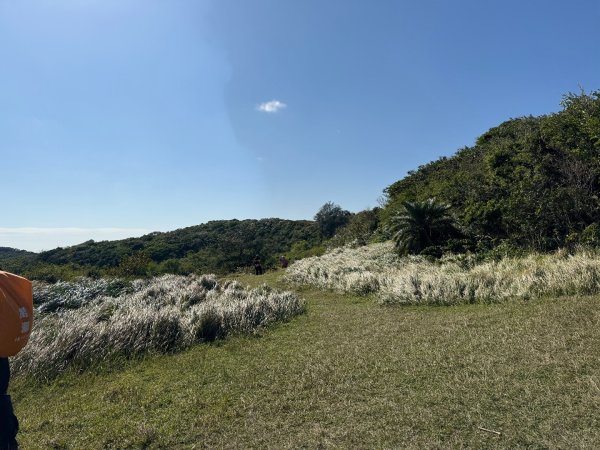 恆春大縱走:鎮南宮-赤牛嶺-大山母山(小百岳#81)-南灣出2963749