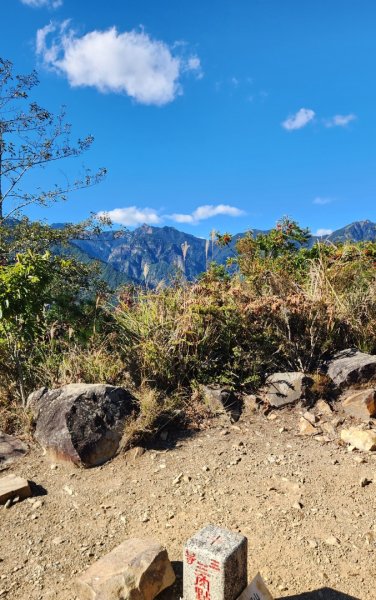 【中級山縱走】羅馬縱走，走進神木的夢幻童話森林世界2943243