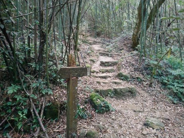 馬那邦山(小百岳編號037)720096