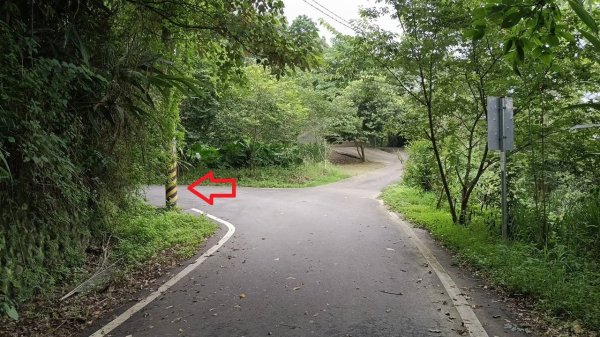 20250607 新竹竹東三山(樹杞林山 - 新具庄山 - 員崠子山)  O型2808872