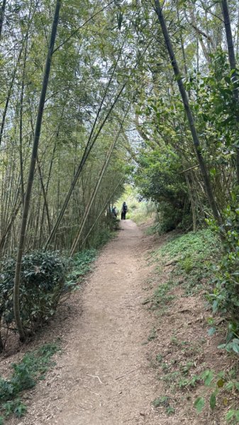 雲嘉連峰/青年嶺/水社寮2750451