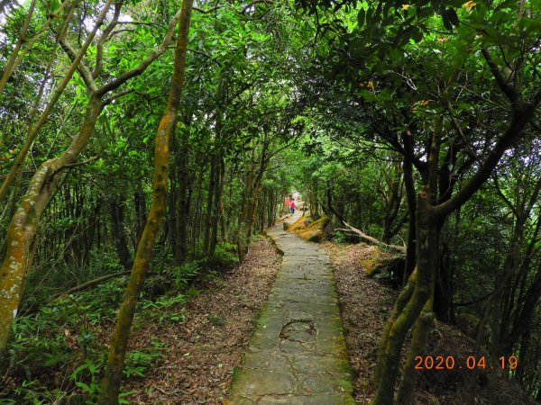 臺北 內湖 龍船岩、開眼山924802