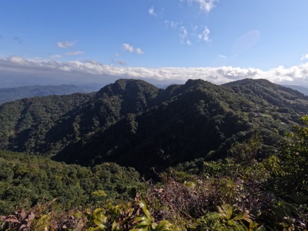 三峽動物縱走-熊龜牛雞鹿 2022.1.311596767