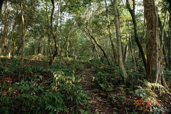 高雄 茂林 網子山、鳴海山、御油山2097369