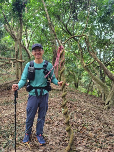 大棟山系南段 水利古道西口 上 竹高崙山 連走 鳥子嶺 坑仔內山 大崖山 下 龍目井農場2953173
