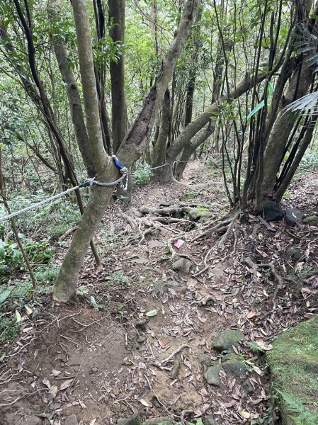 微笑山線/五分山系3013329