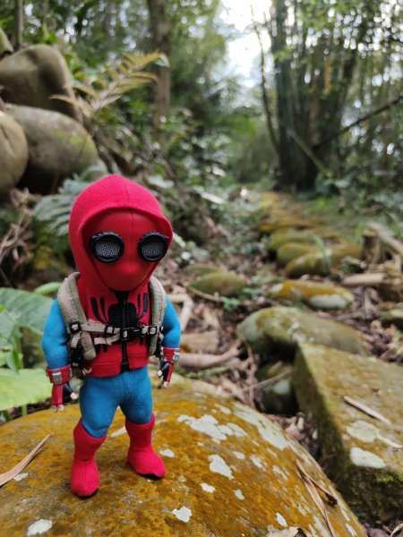 2024.03.24 飛鳳古道2908476