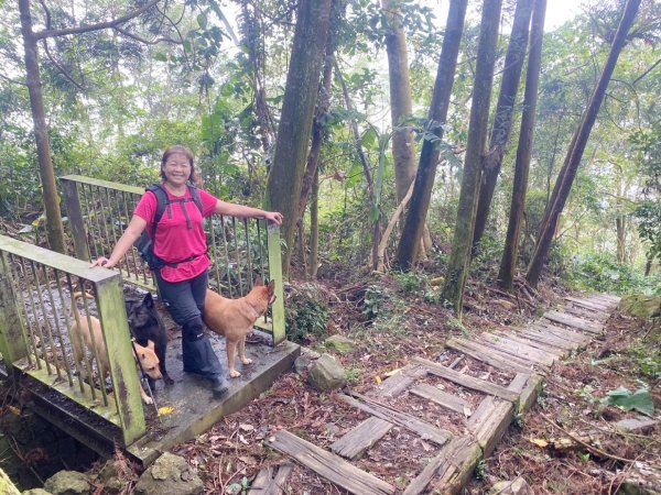 阿拔泉山、觀音石山、紅南坑山、獨立山2650835