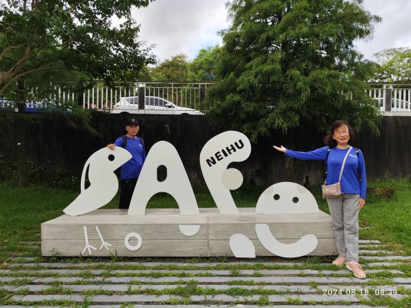 大湖公園→大溝溪生態治水園區→葉姓祖廟→新福本坑→碧湖步道→碧湖公園→宏匯瑞光廣場【臺北大縱走4】2579997