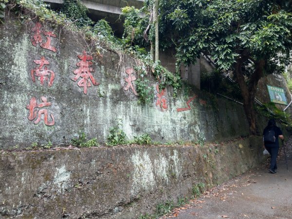 搭阿里山森鐵去登獨立山(小百岳#58)。走大巃頂賞茶園風光 (2020/11/8)1427701