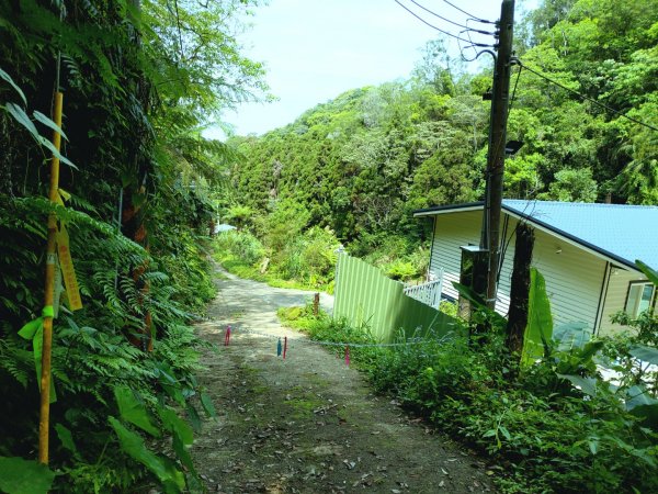 [新竹橫山]田薯縱走...田寮山+毬子山+水頭排山+鎮石山+薯園山1337299