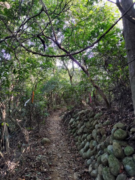 【新竹縣新埔鎮】飛龍步道2833129