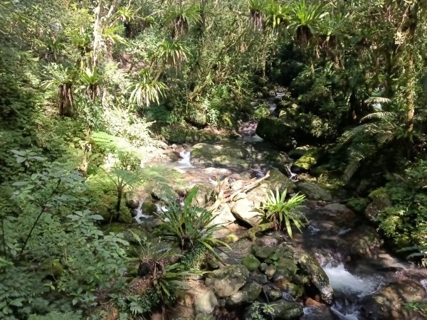 坪林區小粗坑古道+小粗坑山+環山路+楣子寮尖+貴妃池O型2994464