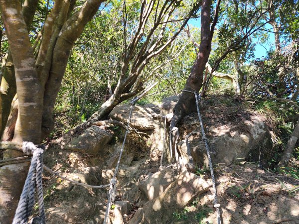 小百岳No.20⛰獅仔頭山2917937