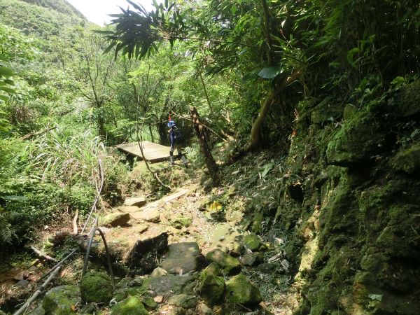 貂山古道．百二崁古道．樹梅坪古道134056