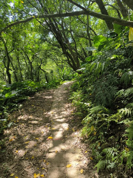 20240923微笑山線：【天上山系】烘爐地土地公段2892434