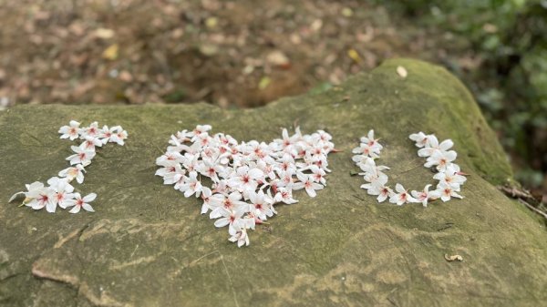 20250504大艽芎古道2837817