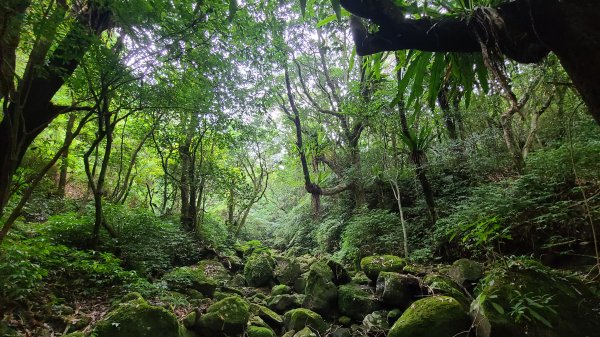 臺北士林-荷蘭古道2208243