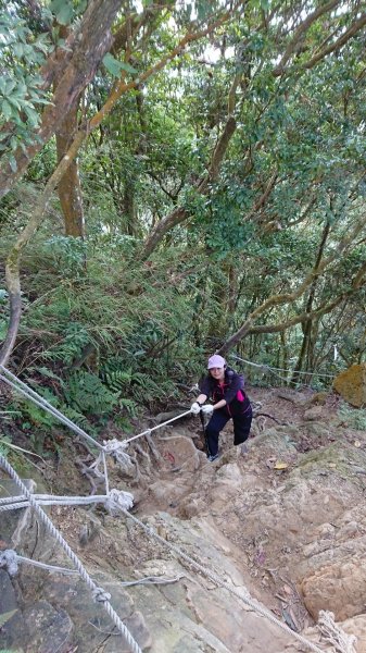 仙山登山步道503212