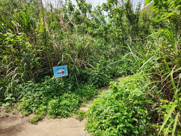 1140419龍港連走白沙屯(含好望角,牧羊古道,舊鐵道,海角樂園,山邊媽,白沙屯)2767287