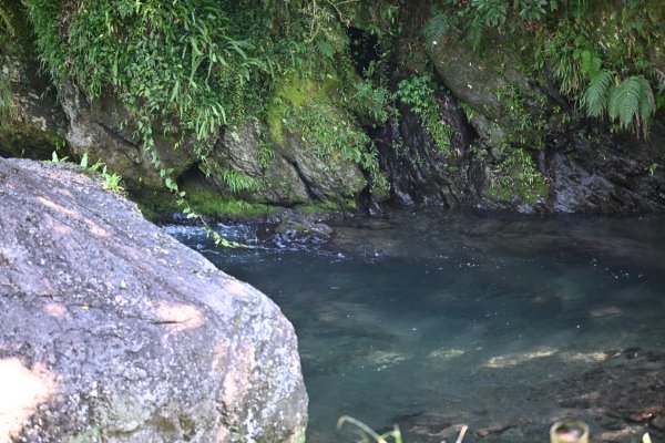 2025_0628 溪瀧步道2824959