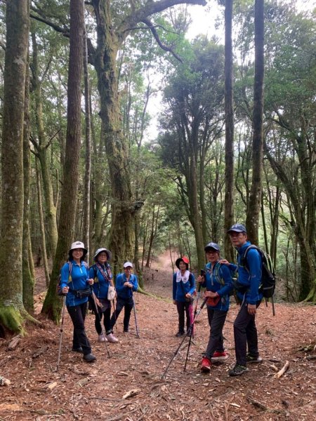 觀霧瀑布 賞鳥步道2926520