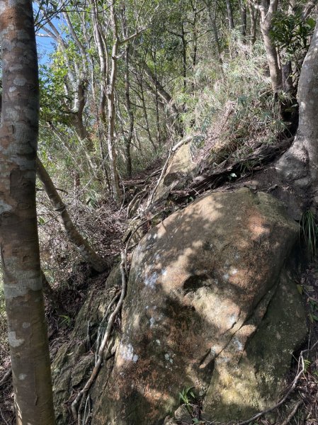 月扇湖大岩壁2952410